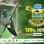 Festival de Aves 2019