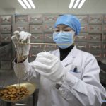 Xinhua Headlines: Traditional Chinese medicine offers oriental wisdom in fight against novel virus