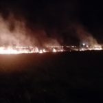 Incendio arrasó con 8 hectáreas de un predio en Puerto Carreño