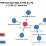 Investigadores del INS descifran la primera secuencia genética de SARS-CoV-2 en Colombia