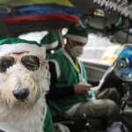 Nicolas Walteros en su taxi con su perro Coronel disfrazado de Papá Noel en Bogotá. REUTERS/Luisa Gonzalez