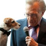 Uggie, el perro de la película "The Artist", es entrevistado por Larry King en Nueva York. REUTERS/Andrew Kelly/Imagen de archivo