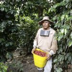 Un caficultor colombiano descansa después de recoger los granos de café en una finca cerca de Monserrate, en el departamento del Huila. REUTERS/José Miguel Gómez