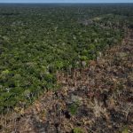 Una zona del Amazonas quemada en Labrea, Brasil Sep 2, 2021 .REUTERS/Bruno Kelly