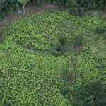 Una vista aérea de las plantaciones de hoja de coca en zona rural de Tumaco, REUTERS/Luisa González