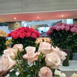 Flores Colombianas para exportación