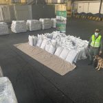 La Policía colombiana incautó cerca de 1,3 toneladas de clorhidrato de cocaína escondidas en varios cargamentos, uno de ellos de alimentos como papa y yuca