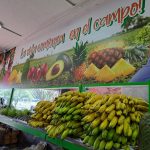  “Hemos acordado con los empresarios, la @ANDI_Colombia y la @SAColombia diseñar e implementar medidas para la reducción de los precios de los alimentos”, escribió este miércoles el Presidente Gustavo Petro en su cuenta de Twitter.