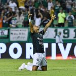 El único tanto del partido entre Deportivo Cali y Alianza FC llegó en el minuto 28’ del primer tiempo por intermedio de Fredy Montero, quien aprovechó un rebote dentro del área para sacar un remate potente con su pierna izquierda.Foto : VizzorImage / Nelson Rios / Cont.