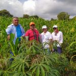 Para contribuir con el desarrollo rural de los Montes de María, el Programa Colombia Sostenible (PCS) del Fondo Colombia en Paz (FCP) y el Banco Interamericano de Desarrollo (BID), financia un proyecto agroambiental consistente en un sistema agroforestal en el corregimiento de Almagra, ubicado en el municipio de Ovejas en el departamento de Sucre.