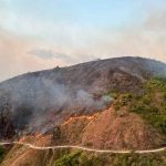 El gobernador del departamento Huila, Rodrigo Villalba, declaró hoy el estado de calamidad pública, a causa de los incendios forestales y a los estragos que provocan en esa región del suroeste de Colombia.