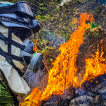 Durante el presente mes se reportaron 249 incendios forestales en 14 departamentos de Colombia, donde aún se batalla contra al menos 10 de ellos, divulgó hoy la Unidad Nacional de Gestión del Riesgo de Desastres (Ungrd).