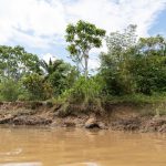 En medio de una emergencia que ha dejado a miles de familias en el departamento del Chocó enfrentando las devastadoras consecuencias de las inundaciones, el Gobierno de los Estados Unidos anuncia un nuevo aporte de $100,000 dólares, canalizado a través de la Agencia de los Estados Unidos para el Desarrollo Internacional (USAID). Este esfuerzo busca mitigar las necesidades más urgentes de las comunidades afectadas, reafirmando así su compromiso con los sectores más vulnerables.