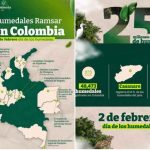 El Gobierno de Colombia desarrolla diferentes acciones de conservación y restauración de los humedales en el país, de la mano de las comunidades y con el fortalecimiento de la educación ambiental, informó hoy el Ministerio de Ambiente.