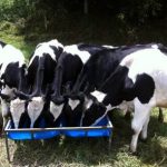 precio base de la leche al productor