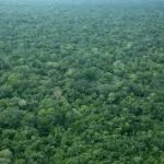 Colombia recibirá US$100 millones para frenar la destrucción de la Amazonía