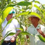 Acciones del MinAgricultura para mitigar el impacto del Fenómeno de El Niño,