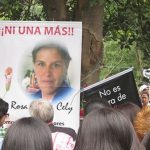 Feminicidio de Rosa Elvira Cely
