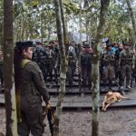 FARC-FOTO-CAMPAMENTO-