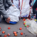 personas desplazadas buscan comida en la basura de Corabastos