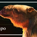 un oso perezoso gigante y otras rarezas de la biodiversidad colombiana