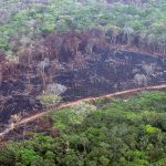 La Macarena, la zona más deforestada