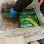 La cocaína era ocultada dentro de los cargamentos de fruta que salían del país