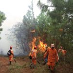 Incendios Forestales en Colombia